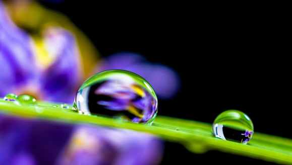 drop-of-water-drip-blade-of-grass-blossom-55818.jpeg